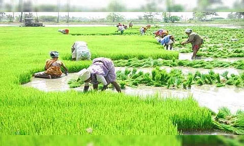 காேப்புபடம்