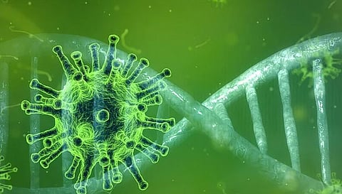 கொடைக்கானலில் 4 மாதத்திற்கு பிறகு ஒருவருக்கு ஒமைக்ரான் தொற்று