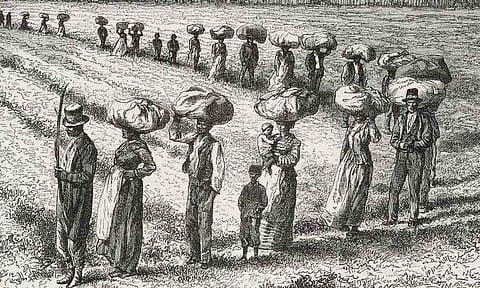 காேப்புபடம்