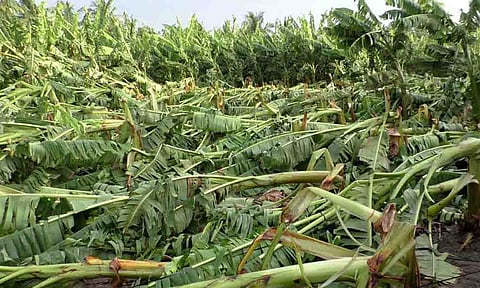 காேப்புபடம்