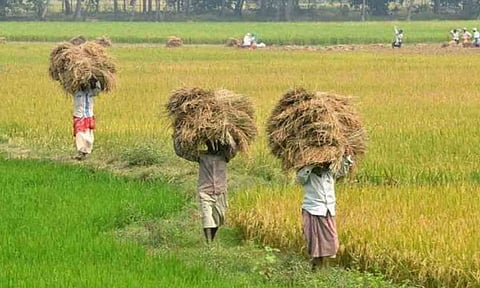 காேப்புபடம்