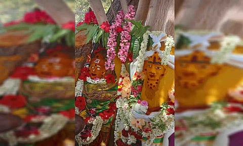 வேம்பு - அரச மரங்களுக்கு திருமண வைபவ காட்சி