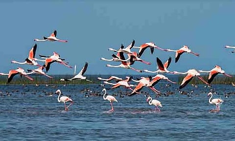 கோப்புபடம். 