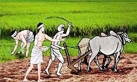 தரிசு நிலங்களை விளை நிலங்களாக மாற்ற விவசாயிகளுக்கு அழைப்பு