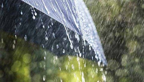 சேலம் மாவட்டத்தில் மழை நீடிப்பு- மேட்டூர், கரியகோவிலில் கனமழை