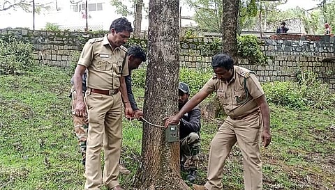 ஊட்டி மார்லி மந்து அணை பகுதியில் புலியின் நடமாட்டத்தை கண்காணிக்க கண்காணிப்பு காமிராக்கள்