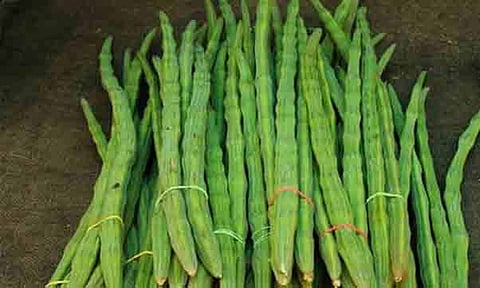 கோப்புபடம். 