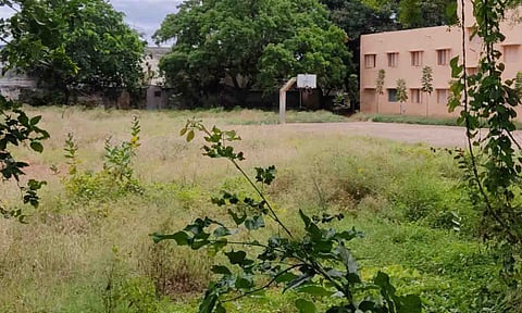 புதர்மண்டி கிடக்கும் உடுமலை அரசு மேல்நிலைப்பள்ளி மைதானம்.