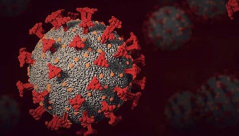 ஒரே நாளில் 104 பேர் பாதிப்பு- கோவையில் 2 பகுதிகள் தனிமைப்படுத்தி கண்காணிப்பு