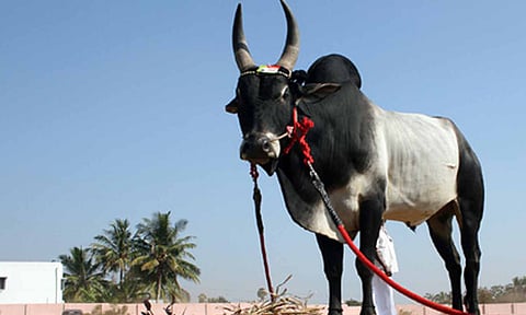 கோப்புபடம்