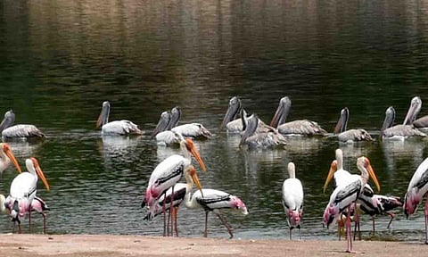 கோப்புபடம்