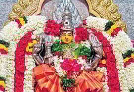 ஆனி மாத அமாவாசையையொட்டி அம்மன் கோவிலில் மிளகாய் சண்டி யாகம்