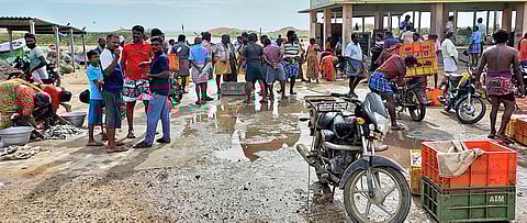மணப்பாடு கடற்கரையில் இன்று மீன்கள் வாங்க வந்த கூட்டத்தின் ஒரு பகுதியை படத்தில் காணலாம்.