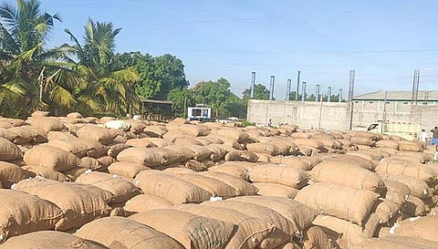 ஏலத்திற்கு கொண்டுவரப்பட்ட பருத்தி மூட்டைகள்.