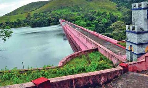 பெரியாறு அணை நீர்பிடிப்பு பகுதியில் தொடர் மழை