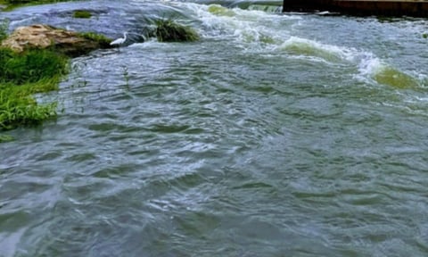 ஆற்றில் குதித்த பெண்ணை 2-வது நாளாக தேடும் பணி தீவிரம்