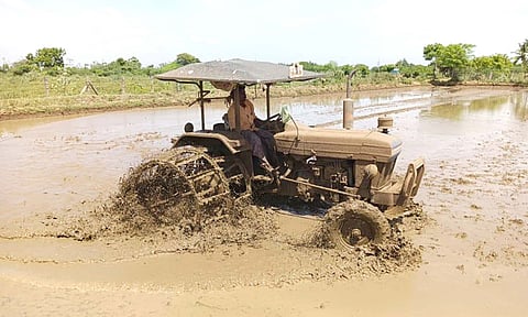 குறுவை சாகுபடிக்காக வயலை உழுது தயார் செய்யும் பணி