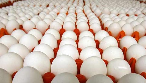 முட்டை விலை ரூ.5.50 ஆக நீடிப்பு