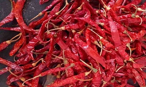 கோப்புபடம்.