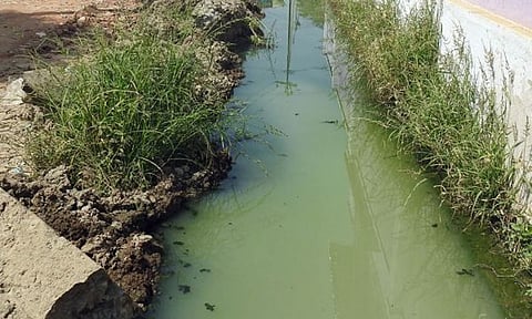 கழிவுநீர் கால்வாயில் விழுந்து உயிரிழந்த மூதாட்டி அடையாளம் தெரிந்தது