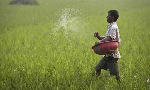 கோப்புபடம்.