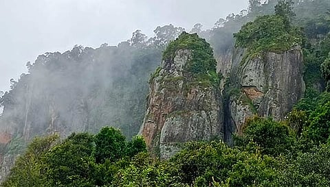 கொடைக்கானல் தூண்பாறையில் நிலவிய கடும் பனிமூட்டம்.