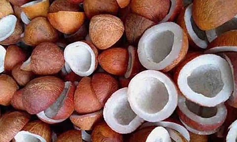 கோப்புபடம்.