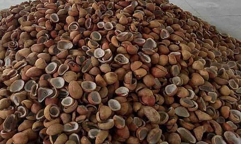 கோப்புபடம்.