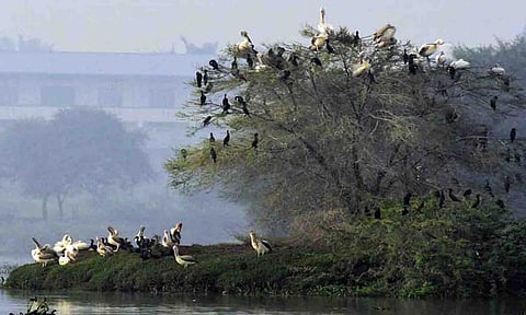 கோப்புபடம்.
