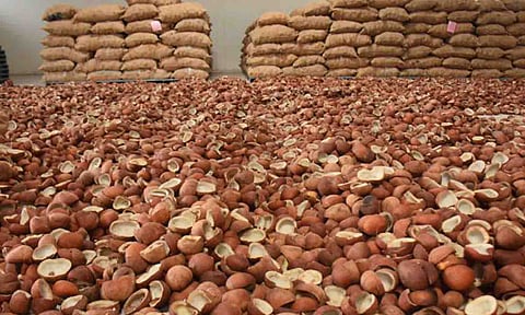 கோப்புபடம்.