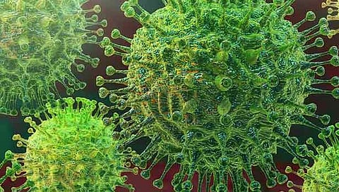 கோப்பு படம்