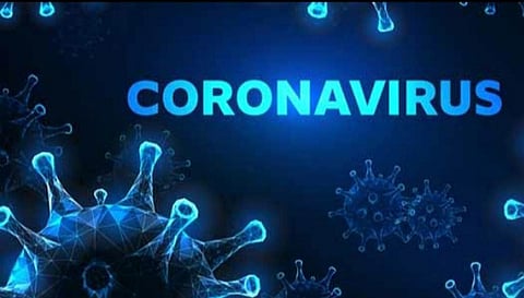 நெல்லை மாவட்டத்தில் படிப்படியாக குறையும் கொரோனா பாதிப்பு