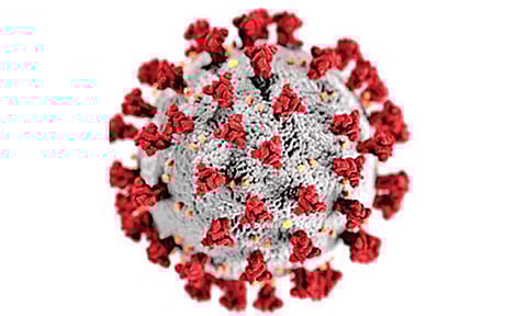 கோப்பு படம்