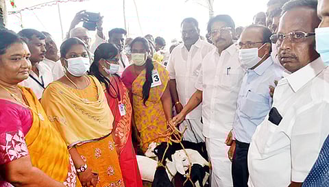 அமைச்சர் சாத்தூர் ராமச்சந்திரன் பயனாளிகளுக்கு ஆடுகளை வழங்கியபோது எடுத்த படம். 