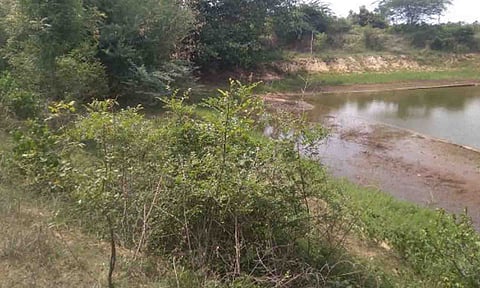 கோப்புபடம்.