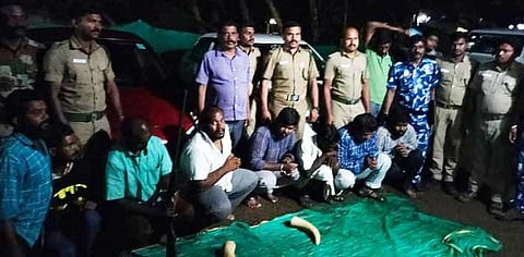 யானை தந்தங்கள் மற்றும் துப்பாக்கியுடன் கைது செய்யப்பட்டவர்களை படத்தில் காணலாம்.