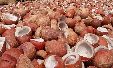 கோப்புபடம். 