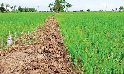 கோப்புபடம். 