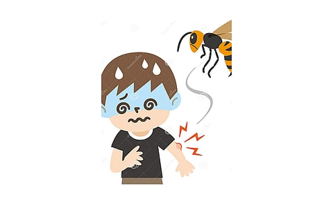 கோப்பு படம்