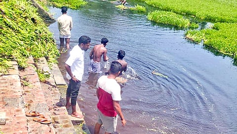 குளம் சுத்தம் செய்யப்பட்டது.