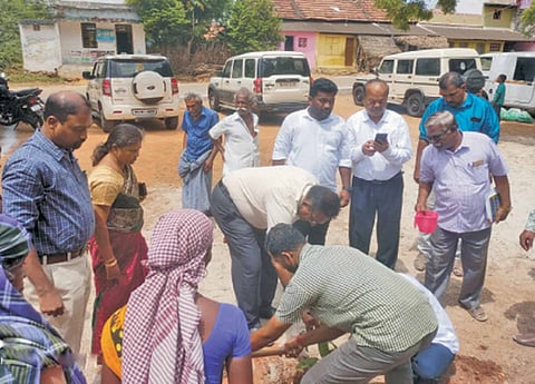 மரக்கன்றுகள் நடப்பட்ட போது எடுத்தபடம்.