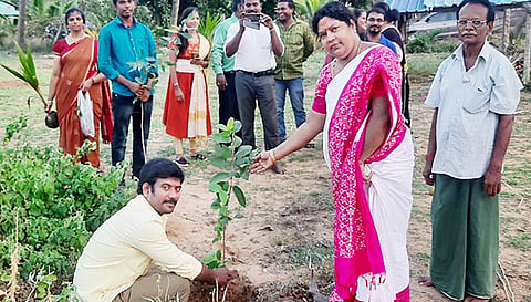 மரக்கன்று நடப்பட்டது.