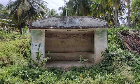புதர்மண்டி கிடக்கும் பஸ் நிறுத்தம்.