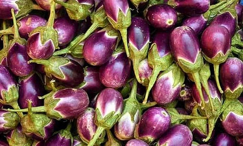 கோப்புபடம்.