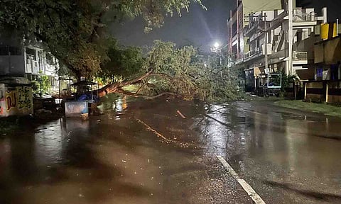ஓட்டப்பட்டி அருகே சாலையில் விழுந்த புளியமரத்தை படத்தில் காணலாம்.