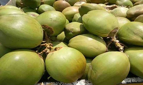 கோப்புபடம்.