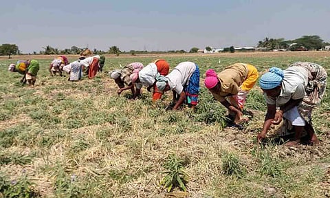 கோப்புபடம்.