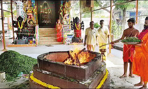 தூத்துக்குடி அருகே கோவிலில் 10,008 கிலோ பச்சை மிளகாய் மகா யாகம்