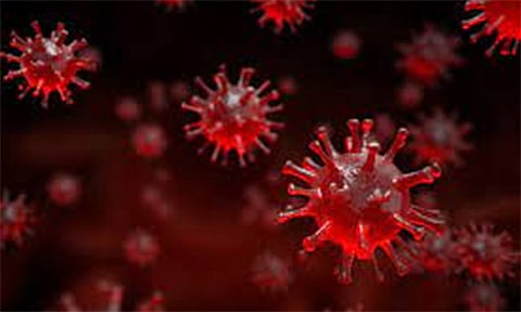 ஈரோட்டில் ஒரே நாளில் 62 பேருக்கு கொரோனா தொற்று