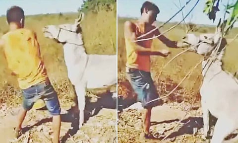 விதைப்பதை தான் அறுவடை செய்ய முடியும்- அடித்து உதைத்த வாலிபரை கடித்து குதறிய கழுதை